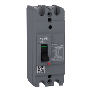 PREKIDAC EZC100 H 30KA 2P/2T 60A