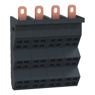 Linergy_DP/NSXm 4P 160A 24x