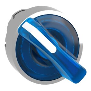 GLAVA SVETLEĆEG TASTERA