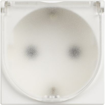 Classia: 2M uticnica 2P+E 16A, 250V, sa zastitom od slucajnog dodira, sa IP20 poklopcem Nem.std., bela